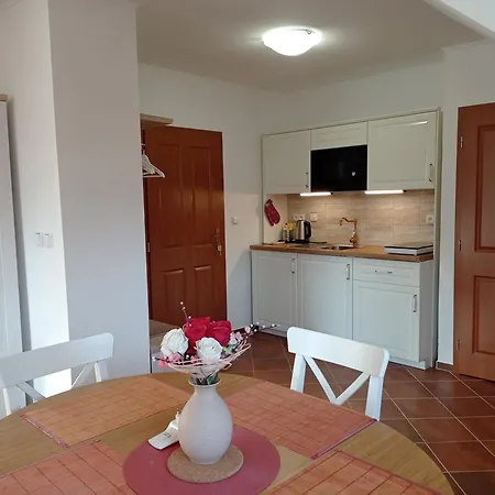 U Orlickeho Jezera - Kamenice Lejlighedshotel