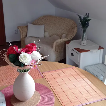 Aparthotel U Orlickeho Jezera - Kamenice Klucenice