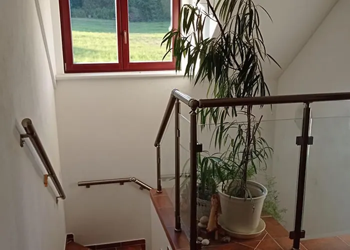 Aparthotel U Orlickeho Jezera - Kamenice 3*