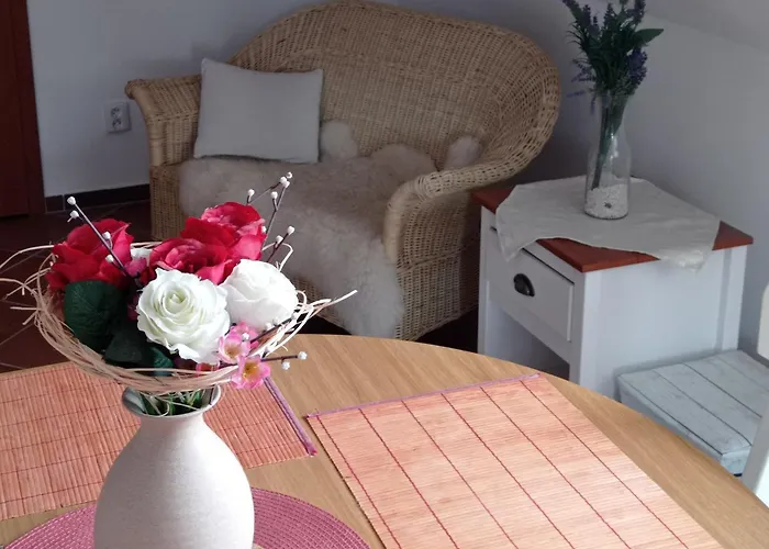 Aparthotel U Orlickeho Jezera - Kamenice Klucenice